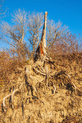 Similar image 21211643