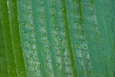 Similar image 21207230