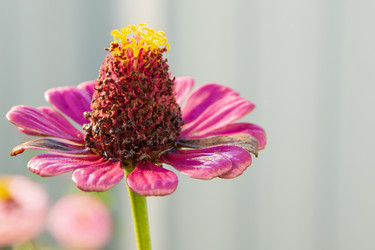 Similar image 21207234