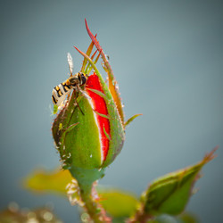 Similar image 21211646