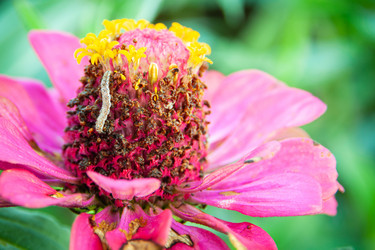 Similar image 21207237