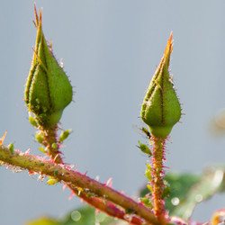 Similar image 21207240