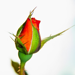 Similar image 21207242