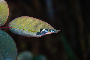 Similar image 21207247