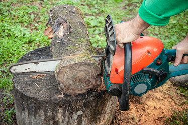 Similar image 21238252