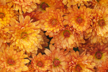 Similar image 21207250