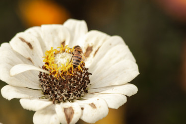 Similar image 21207252