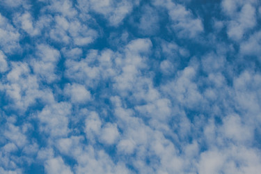 Similar image 21207257