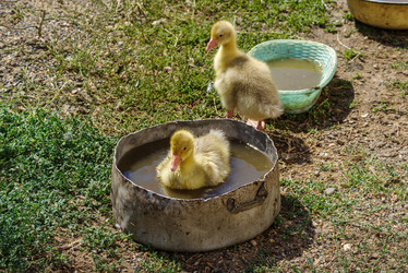 Similar image 21207290