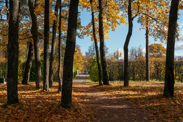 Similar image 21210934