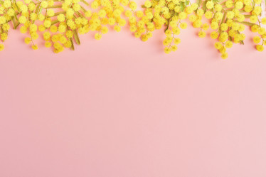 Similar image 21205859