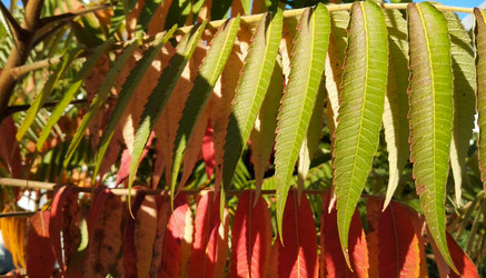 Similar image 21207463