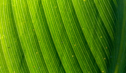 Similar image 21207465