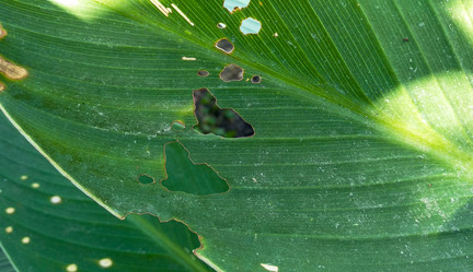 Similar image 21207466