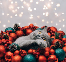 Similar image 21206641