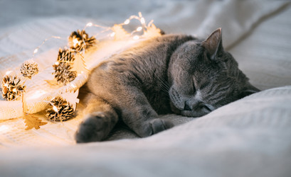 Similar image 21206643