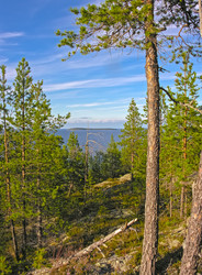 Similar image 21206051