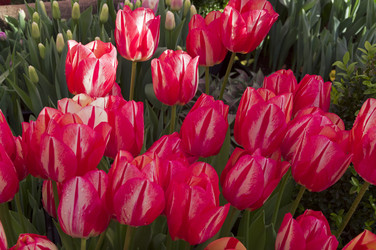 Similar image 21206055