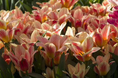 Similar image 21206056