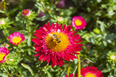 Similar image 21206057