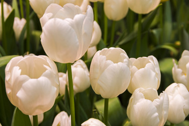 Similar image 21206060