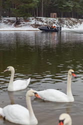 Similar image 21212157