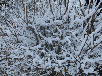 Similar image 21212697