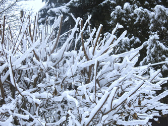 Similar image 21212699