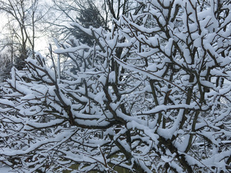 Similar image 21212700