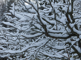 Similar image 21212701