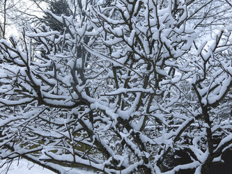 Similar image 21212703