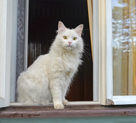 Similar image 21209517