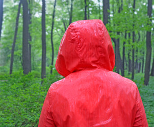 Similar image 21209519