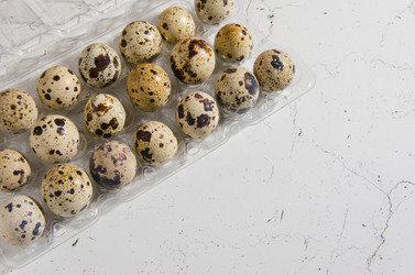 Similar image 21208457