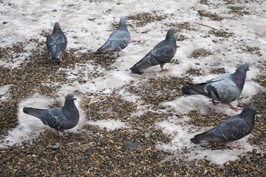 Similar image 21208462