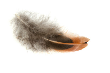 Similar image 21208464