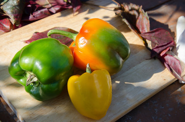 Similar image 21208482