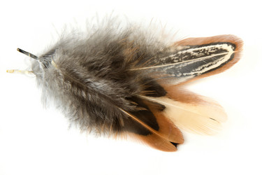 Similar image 21208491