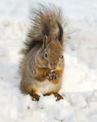 Similar image 21211051