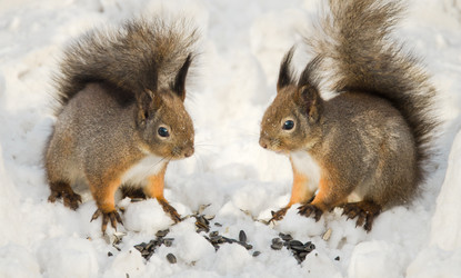 Similar image 21211053