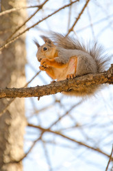 Similar image 21211058