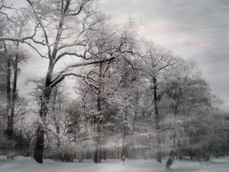 Similar image 21221448