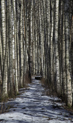 Similar image 21221451