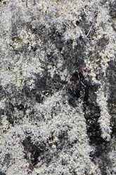 Similar image 21221495