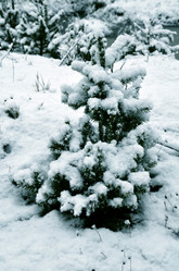 Similar image 21221497