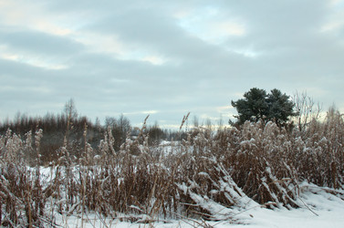 Similar image 21221506