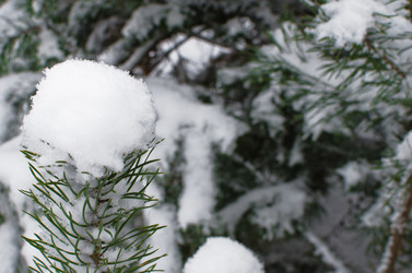 Similar image 21221507