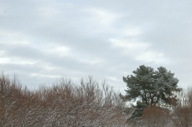 Similar image 21221508