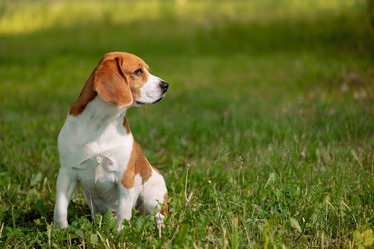 Similar image 21204197