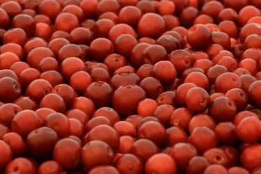 Similar image 21204198